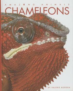 Chameleons by Valerie Bodden