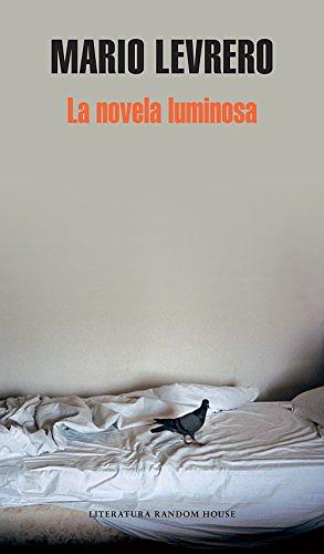 La novela luminosa by Mario Levrero