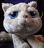 tinywhiskers's profile picture