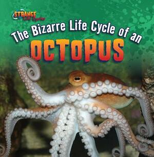 The Bizarre Life Cycle of an Octopus by Therese M. Shea