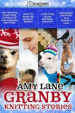 Granby Knitting Stories by Amy Lane