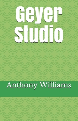 Geyer Studio by Anthony Williams