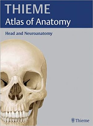 THIEME Atlas of Anatomy: Head and Neuroanatomy by Erik Schulte, Lawrence M. Ross, Udo Schumacher, Edward D. Lamperti, Michael Schünke