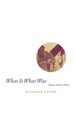 What Is What Was by Richard Stern