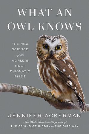 What an Owl Knows: The New Science of the World's Most Enigmatic Birds by Jennifer Ackerman