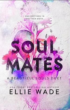 Soul Mates Duet by Ellie Wade, Ellie Wade
