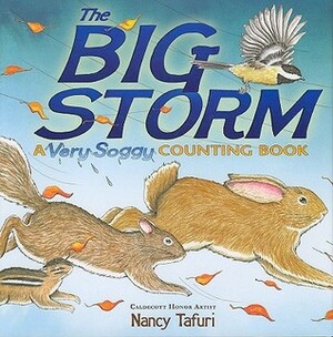 The Big Storm: A Very Soggy Counting Book by Nancy Tafuri