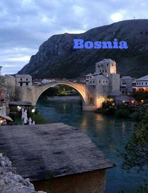 Bosnia by C. L. Winter