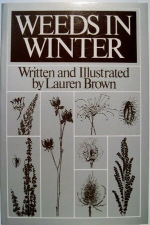 Weeds in Winter by Lauren Brown