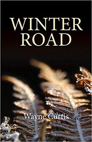 Winter Road by Wayne Curtis