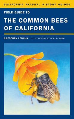 Field Guide to the Common Bees of California: Including Bees of the Western United States by Gretchen Lebuhn
