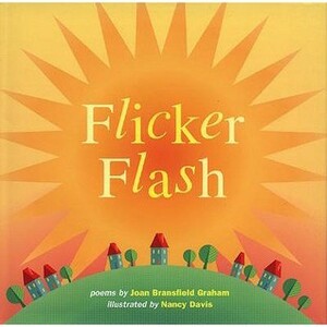 Flicker Flash by Joan Bransfield Graham, Nancy Davis