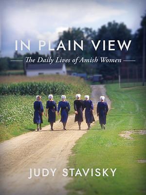 In Plain View: The Daily Lives of Amish Women by Judy Stavisky, Judy Stavisky