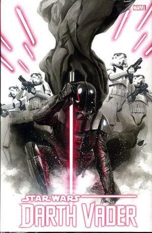 Star Wars: Darth Vader Vol. 1 Ross Direct Market Variant by Kieron Gillen