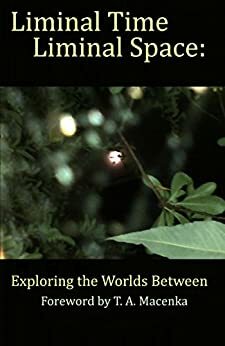 Liminal Time, Liminal Space: Exploring the Worlds Between by S.A. Close, Laurie Burke, S. Stafford, John Lambremont Sr., Gary Budgen, Jessica Knop, Les Morris, Ron A. Morley, T.A. Macenka, Geoffrey A. Landis, Brigid Helyg, Prerna Bakshi, Sarah Doyle, Amanda Marsico, Thomas M. McDade, Brandon Marlon