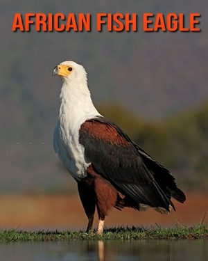 African Fish Eagle: Fun Learning Facts About African Fish Eagle by Sybil Edward