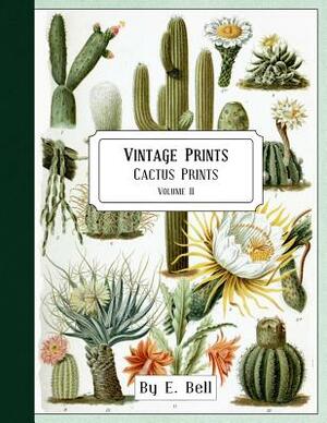 Vintage Prints: Cactus Prints by E. Bell