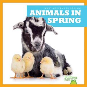 Animals in Spring by Jennifer Fretland VanVoorst
