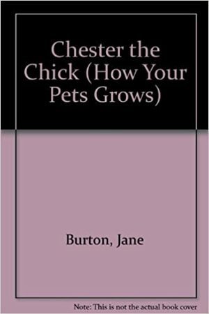 Chester the Chick by Jane Burton