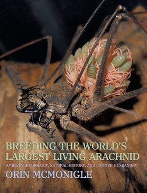 Breeding the World's Largest Living Arachnid: Amblypygid (Whipspider) Biology, Natural History, and Captive Husbandry by Orin McMonigle