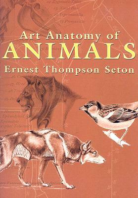 Art Anatomy of Animals by Ernest Thompson Seton