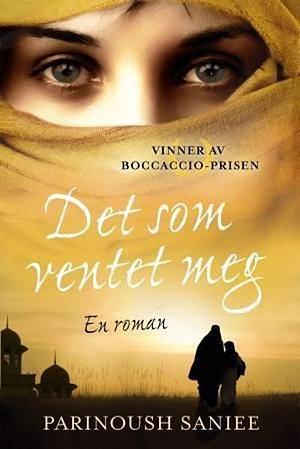 Det som ventet meg by Parinoush Saniee