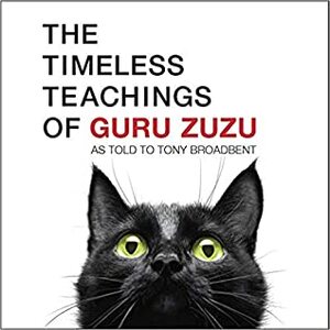 The Timeless Teachings of Guru Zuzu by Tony Broadbent