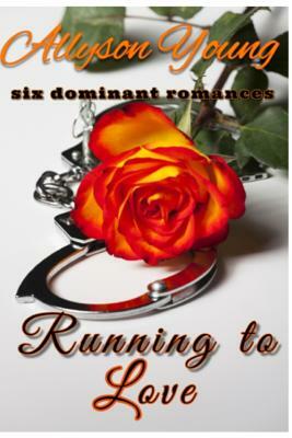 Running to Love: The Series by Allyson Young