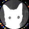 rhys__'s profile picture