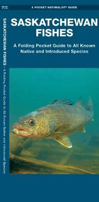 Saskatchewan Fishes: A Folding Pocket Guide to All Known Native and Introduced Species by Matthew Morris, Christopher Somers