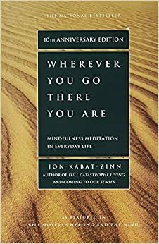 Meditacija kasdieniame gyvenime by Jon Kabat-Zinn