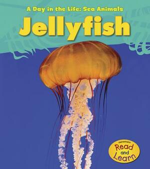 Jellyfish by Louise Spilsbury