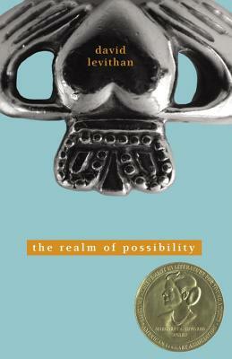 The Realm of Possibility by David Levithan