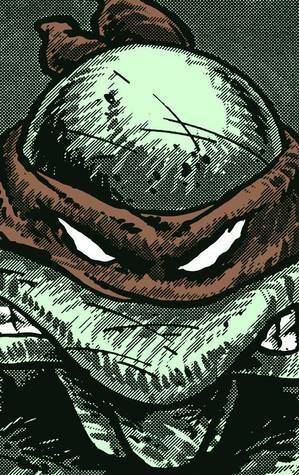 Teenage Mutant Ninja Turtles: The Collected Book, Volume One by Kevin Eastman, Peter Laird