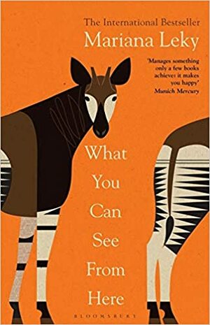 What You Can See from Here by Mariana Leky