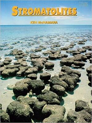 Stromatolites by Ken McNamara