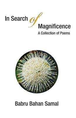 In Search of Magnificence: A Collection of Poems by Babru Bahan Samal