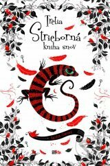 Tretia strieborná kniha snov by Silvia Ivanidesová, Kerstin Gier