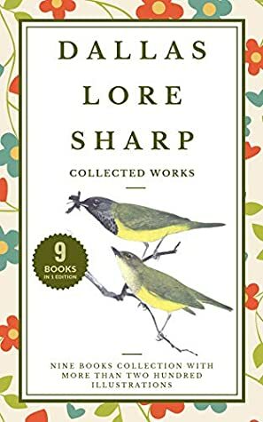 Dallas Lore Sharp: Collected Works (Illustrated): Nine Illustrated Books: The Spring Of The Year, The Fall Of The Year, Summer, Winter, Roof & Meadow, The Hills Of Hingham, Wild Life Near Home, etc.. by Dallas Lore Sharp