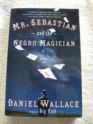 Mr. Sebastian And The Negro Magician by Daniel Wallace