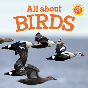 All about Birds (English) by Jessie Hale