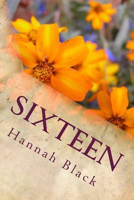 Sixteen by Hannah Black