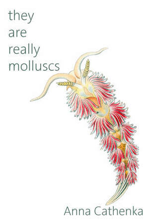 They Are Really Molluscs by Anna Cathenka