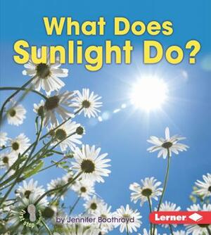 What Does Sunlight Do? by Jennifer Boothroyd