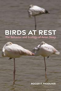 Birds at Rest: The Behavior and Ecology of Avian Sleep by Roger Pasquier