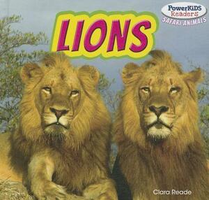 Lions by Clara Reade