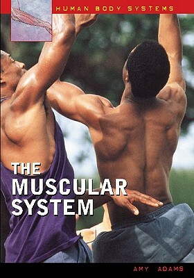 The Muscular System by Amy Adams