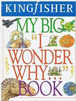 My Big I Wonder Why... Book by Clare Oliver