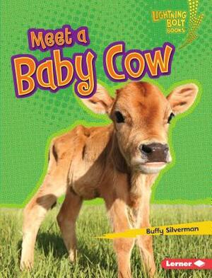 Meet a Baby Cow by Buffy Silverman