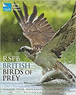 RSPB British Birds of Prey by Marianne Taylor, Stig Frode Olsen